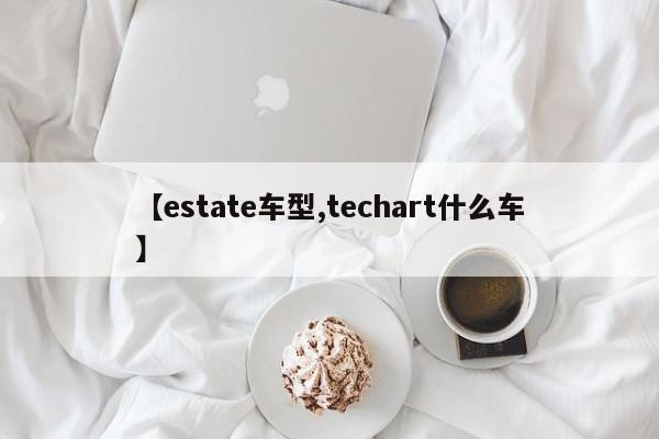 【estate车型,techart什么车】