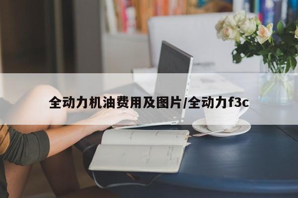 全动力机油费用及图片/全动力f3c