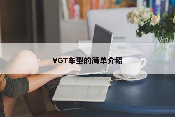 VGT车型的简单介绍