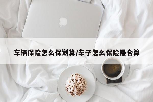 车辆保险怎么保划算/车子怎么保险最合算