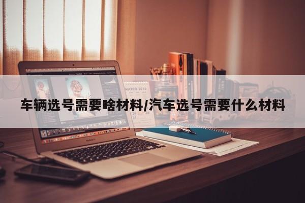 车辆选号需要啥材料/汽车选号需要什么材料