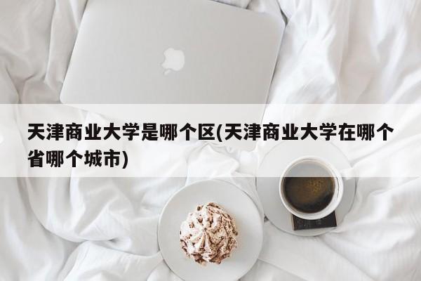 天津商业大学是哪个区(天津商业大学在哪个省哪个城市)