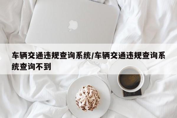 车辆交通违规查询系统/车辆交通违规查询系统查询不到