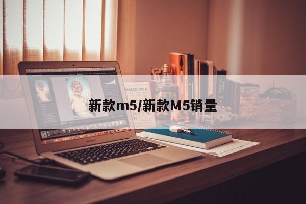 新款m5/新款M5销量