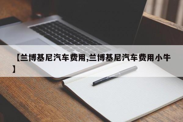 【兰博基尼汽车费用,兰博基尼汽车费用小牛】