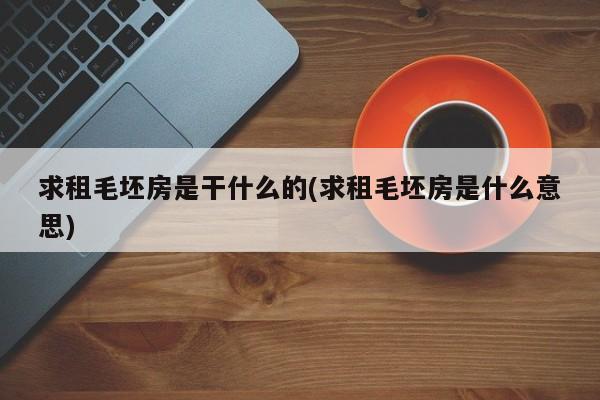 求租毛坯房是干什么的(求租毛坯房是什么意思)