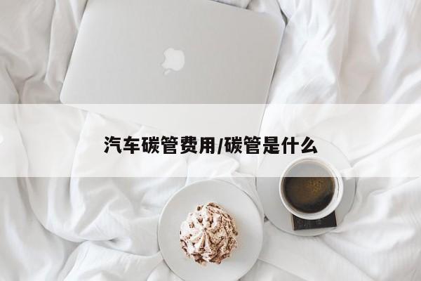 汽车碳管费用/碳管是什么