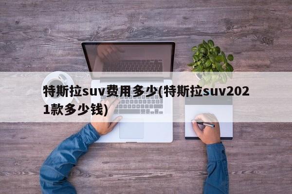 特斯拉suv费用多少(特斯拉suv2021款多少钱)